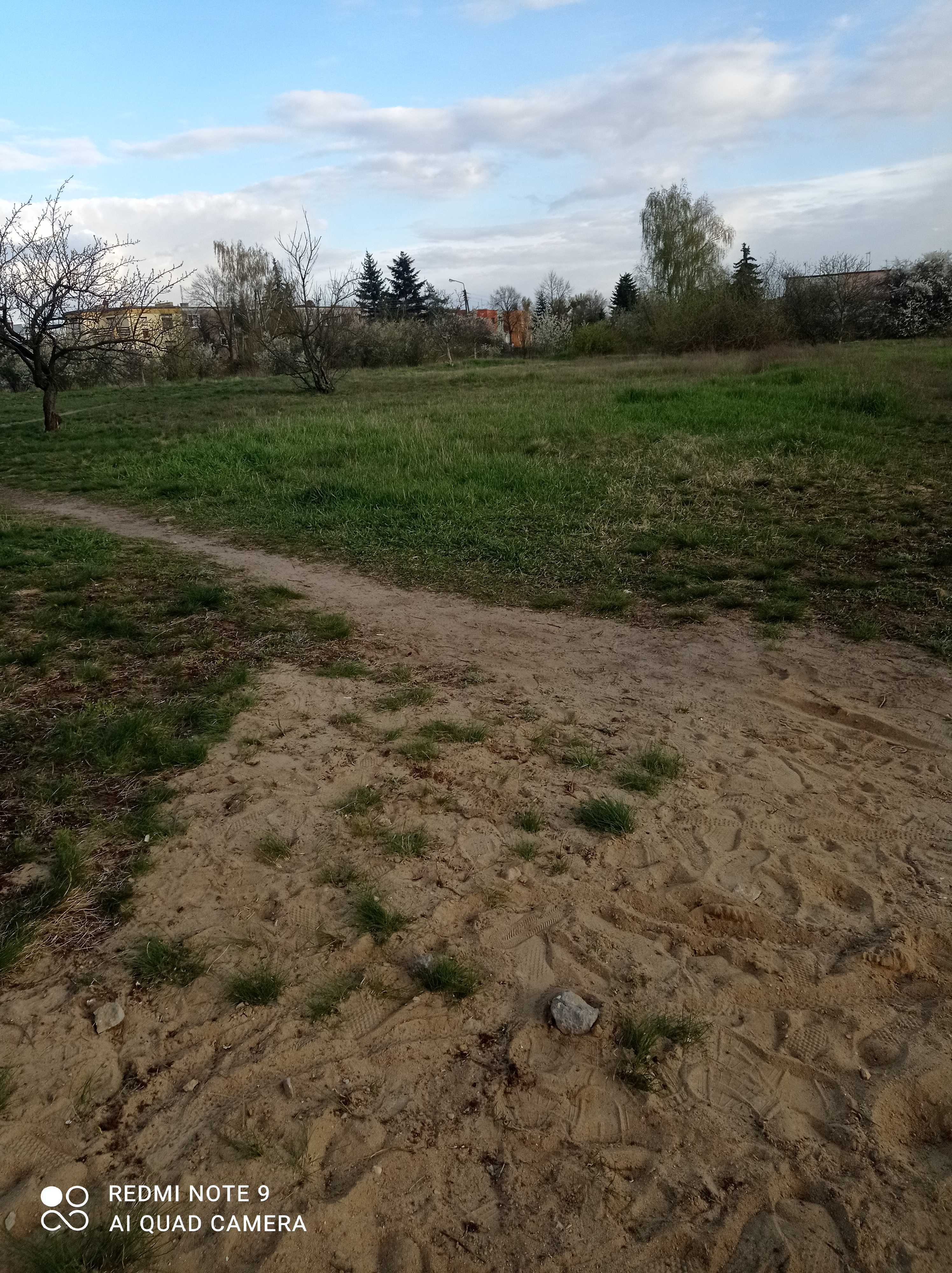 Kacper Wilczek 7a.jpg